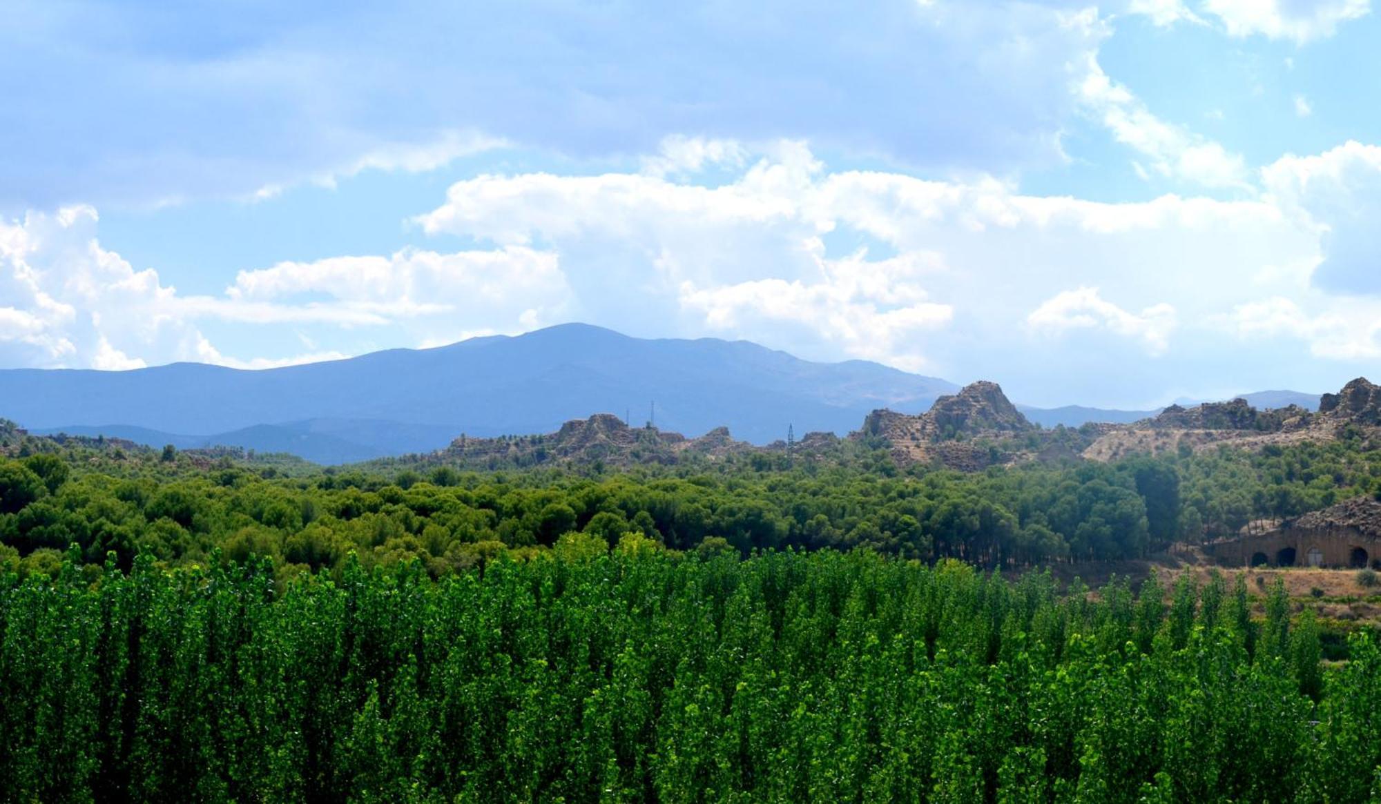 Cuevas Cortijo Gachas Villa Guadix Kültér fotó